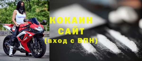 стаф Арсеньев