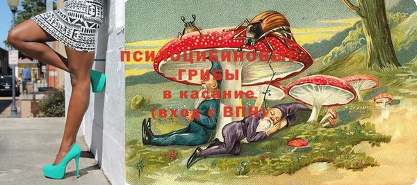 хмурый Армянск
