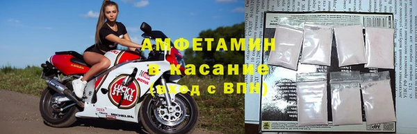 стаф Арсеньев