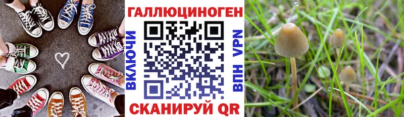 магазин продажи наркотиков  Усолье-Сибирское  Псилоцибиновые грибы MAGIC MUSHROOMS 